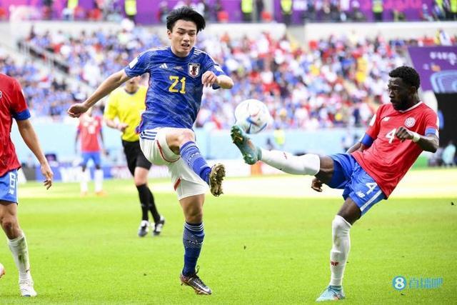 总分的优势 总分的优势