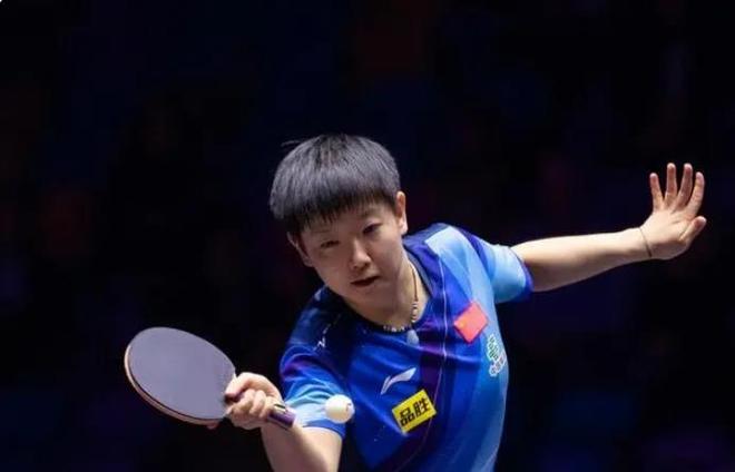 手树立了新 手树立了新