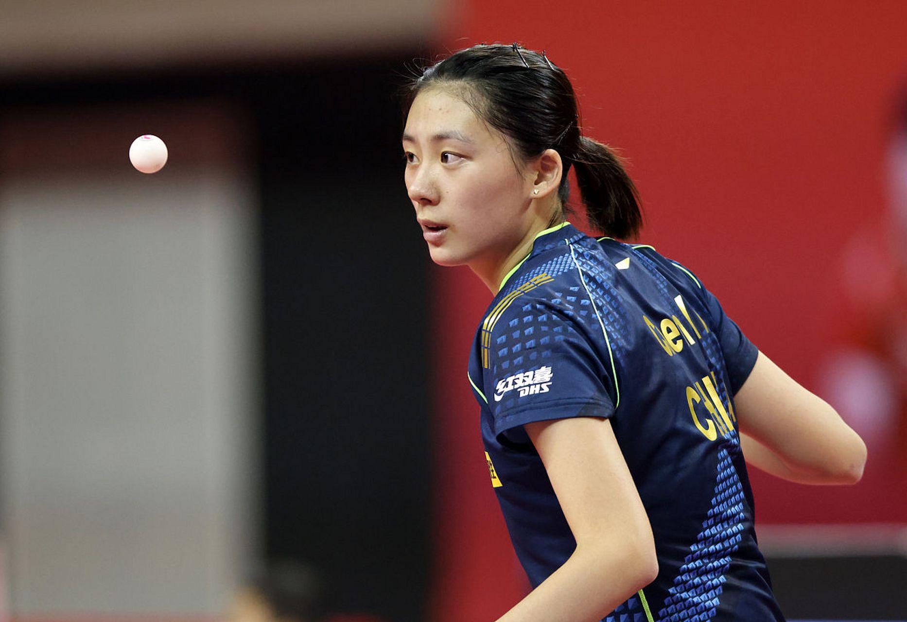 忘的秋日周 忘的秋日周